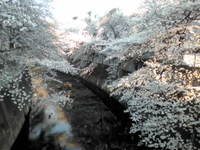 20110406164857.jpg